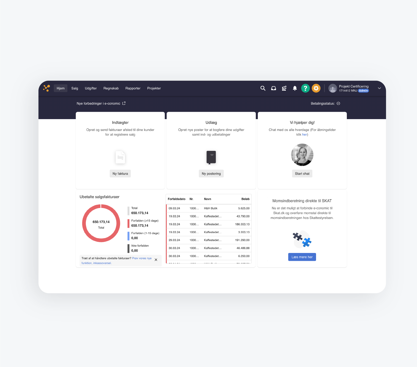 programmet e-conomic systemet visual
