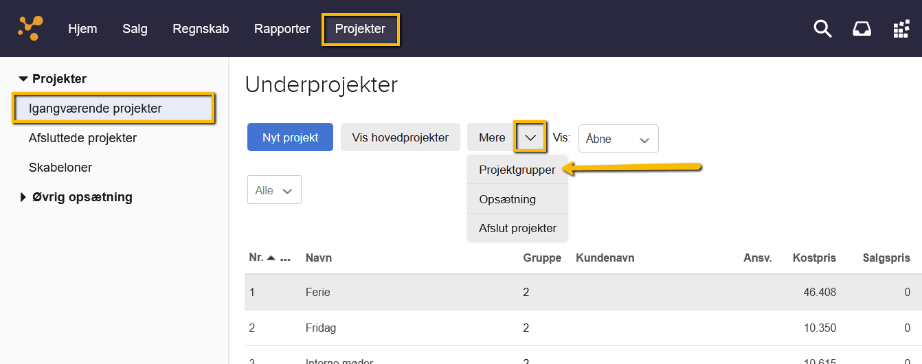 Viser menuen 'Projektgrupper' under knappen 'Mere' i fanebladet Projekter – bruges til at få adgang til opsætningen af projektgrupper.
