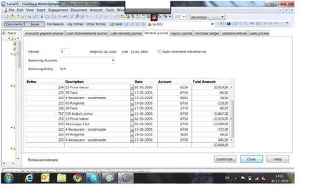 Billede fra CaseWare revisionsprogrammet