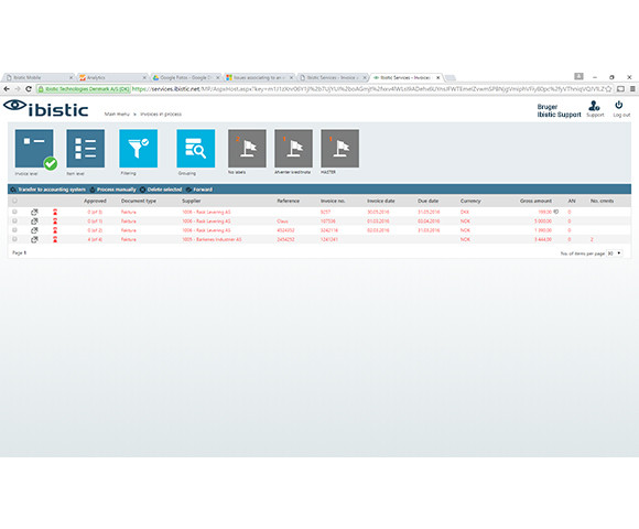 App screenshot: Ibistic Invoice System
