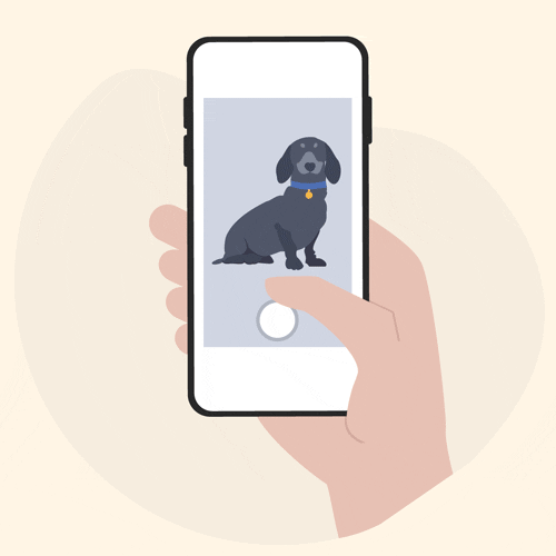 En GIF, der forestiller en hånd, der holder en smartphone, hvor der er en hund på baggrunden