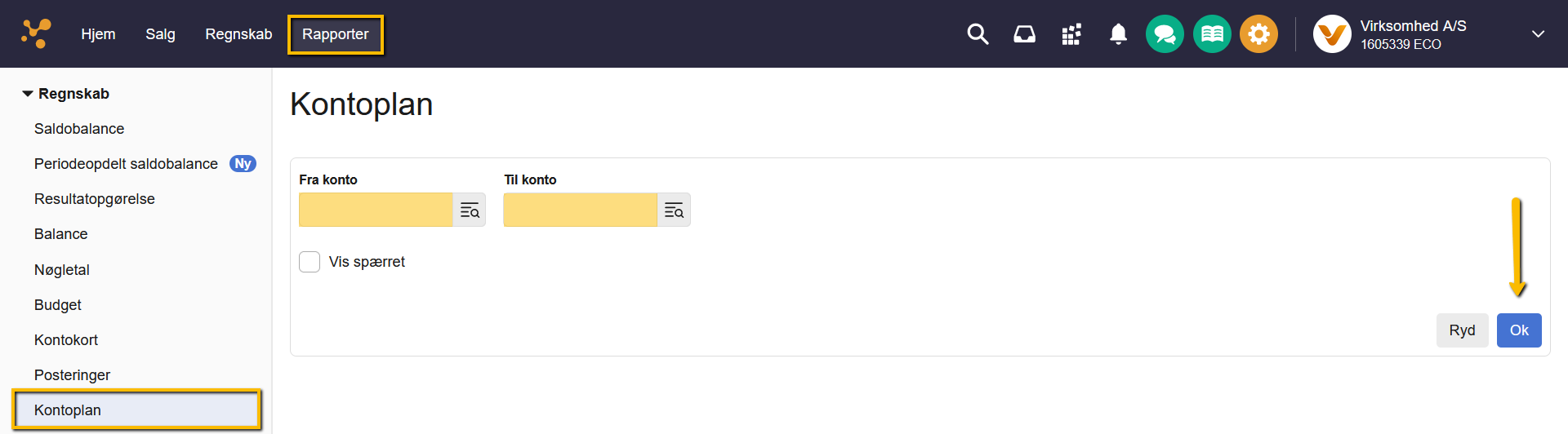 Viser Kontoplan-rapporten i fanen Rapporter – bruges til at generere en oversigt over alle konti i kontoplanen.