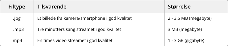 Viser en oversigt over filtyper og deres typiske størrelse i e-copedia – bruges til at give brugeren en reference for, hvor meget forskellige filer fylder.