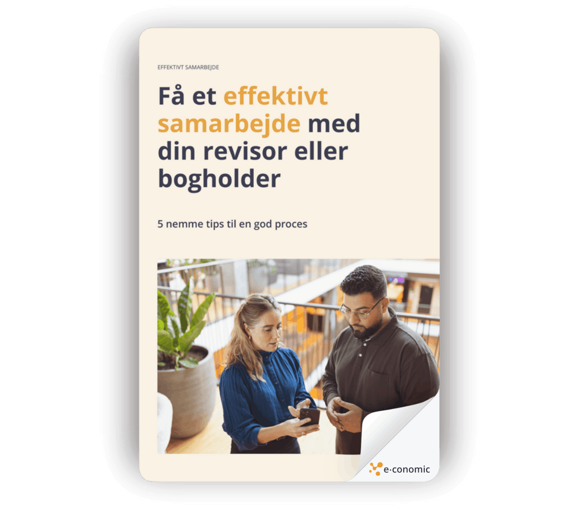 Et billede af en forside på en guide i e-conomic