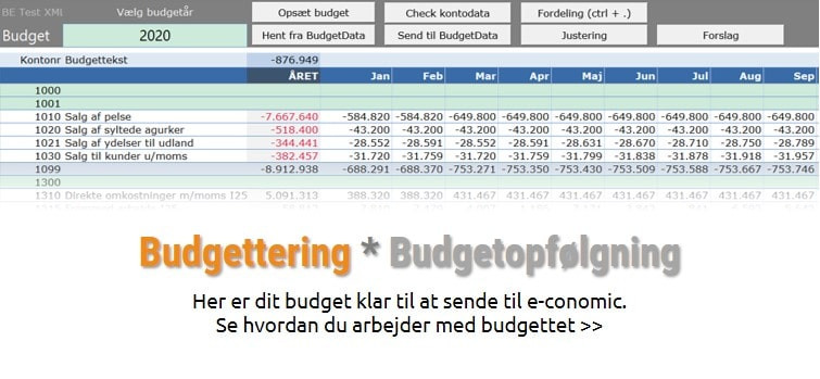 App screenshot: ecoTools Budget