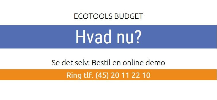App screenshot: ecoTools Budget