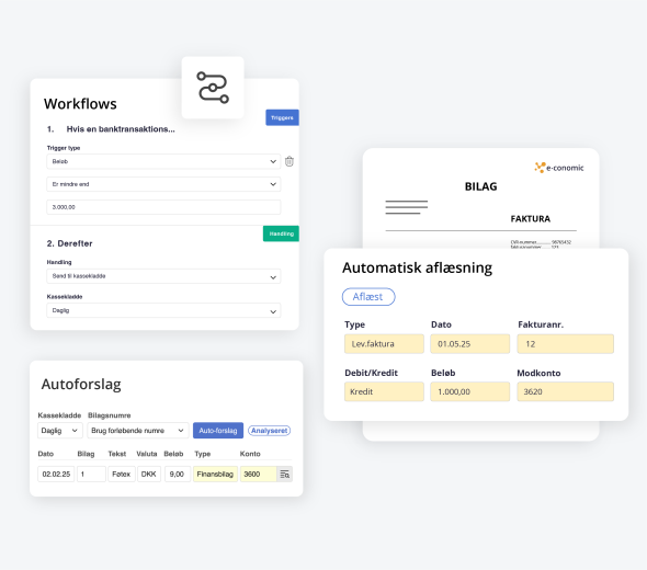regnskabsprogrammets for workflows og andre features